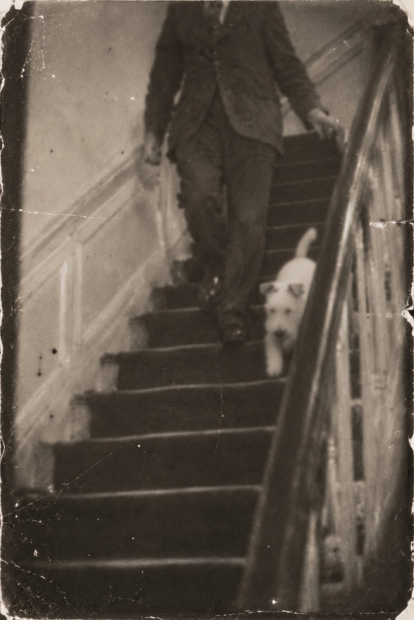 A blurred, badly framed snapshot on a staircase: a young man in a jacket and trousers comes down the stairs, his head cut off by the top of the frame, one hand on the banister, with a small white wire fox terrier beside him