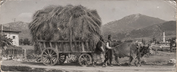 An old panoramic photograph of a village road: two peasants in fezzes lead a pair of oxen pulling a wooden cart piled high with hay, a stone house on the left, mountains and a minaret behind; the print is creased at the corners
