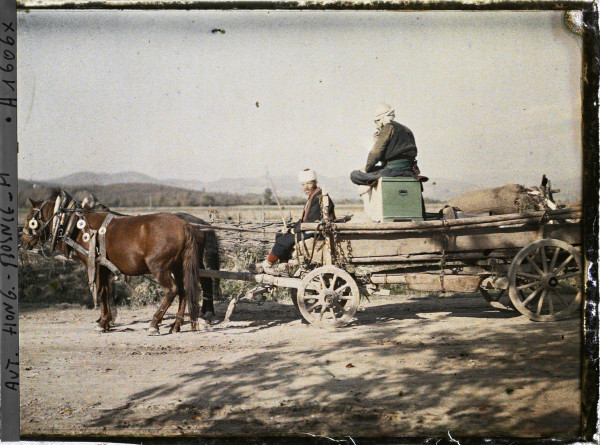 Autochrome of farmer with ox-drawn plough near Mostar in Bosnia-Herzegovina