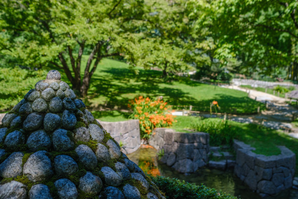 Path through the Albert-Kahn garden with lush vegetation