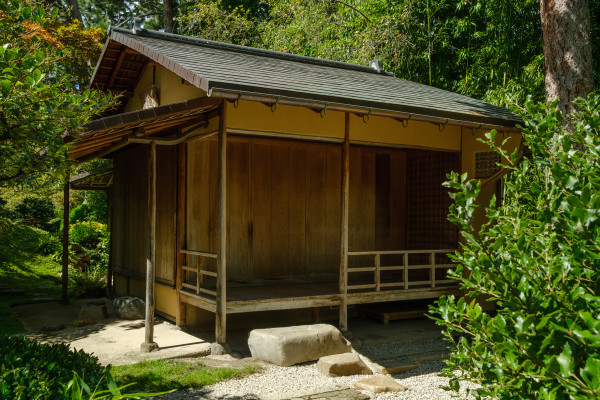 Wooden Japanese tea pavilion surrounded by maple trees