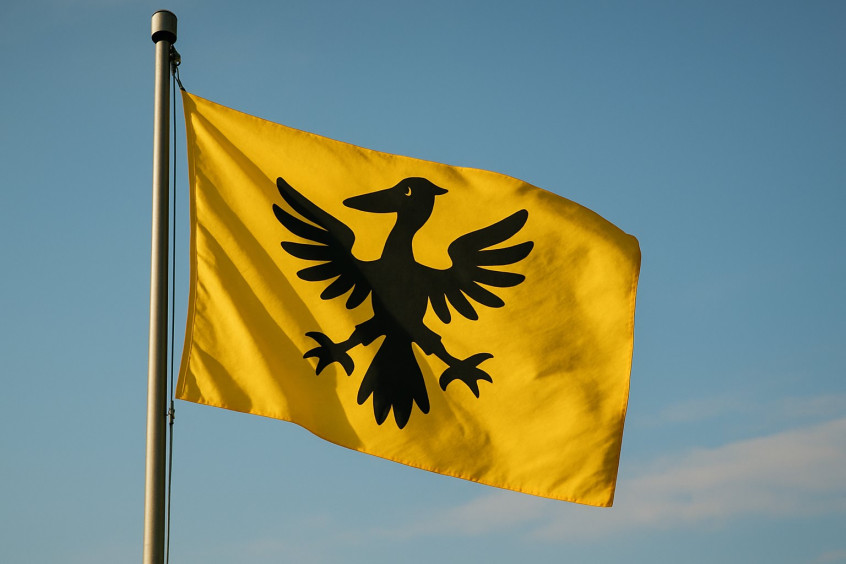 Syldavian flag with black pelican emblem flying at half-mast