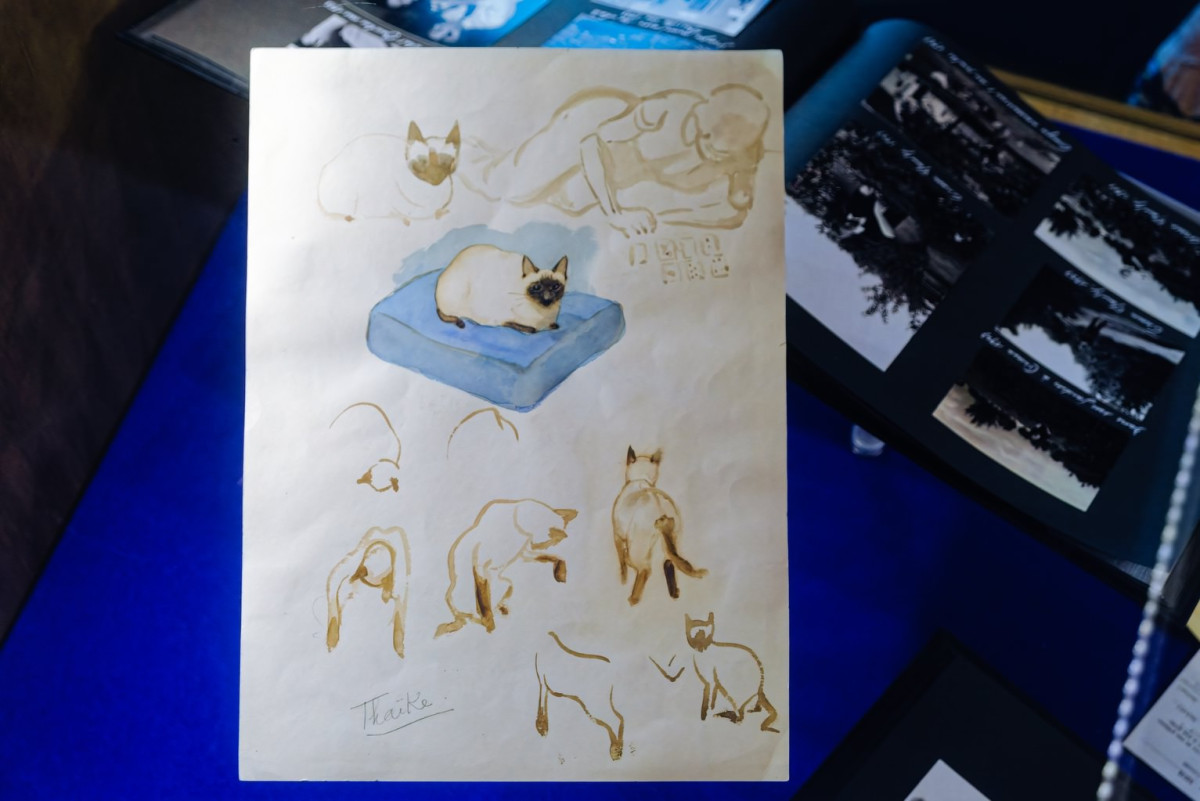 Watercolour and ink studies of Thaïke, Hergé's Siamese cat